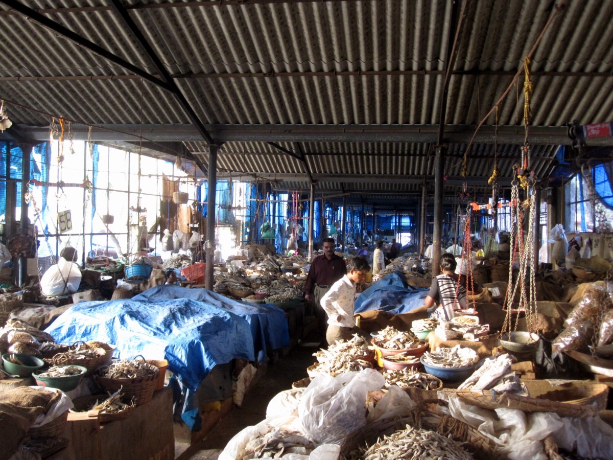 Mangalore Mangalore Mangalore Dry Fish Market